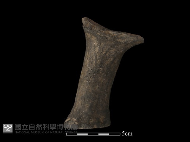 獸足藏品圖，第2張