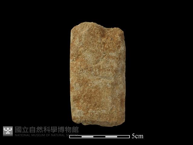 錛鑿形器藏品圖，第2張