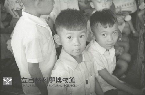 1950至2006年臺灣常民生活藏品圖，第1張