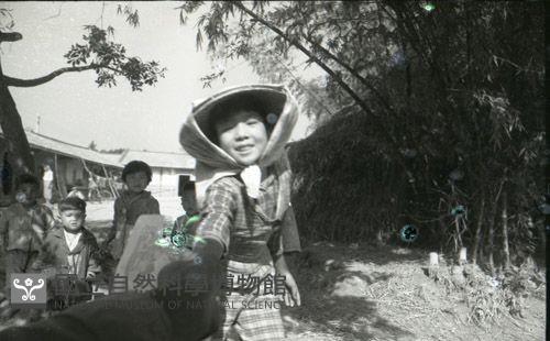 1950至2006年臺灣常民生活藏品圖，第1張