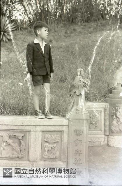 1950至2006年臺灣常民生活藏品圖，第1張
