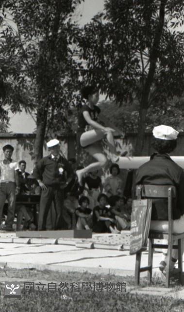 1950至2006年臺灣常民生活藏品圖，第1張