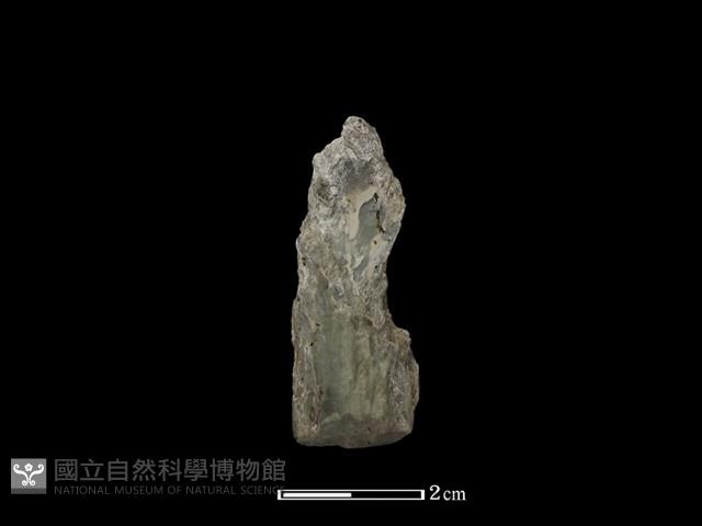 Accession Number:NP-2008-0081 Collection Image, Figure 2, Total 2 Figures