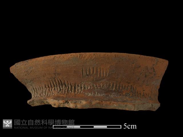 陶罐藏品圖，第2張