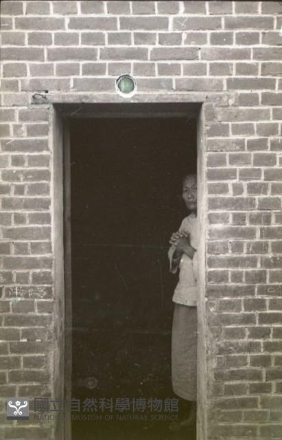 1950至2006年臺灣常民生活藏品圖，第1張