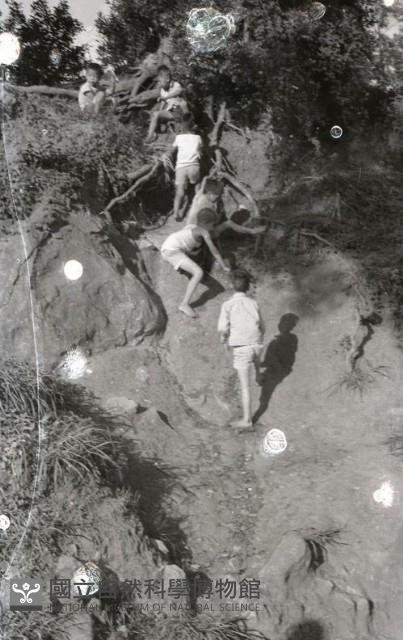 1950至2006年臺灣常民生活藏品圖，第1張