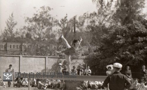 1950至2006年臺灣常民生活藏品圖，第1張