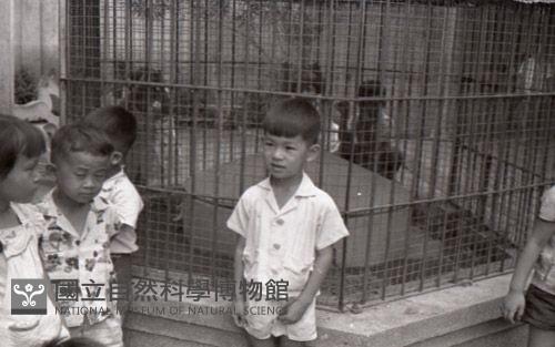 1950至2006年臺灣常民生活藏品圖，第1張