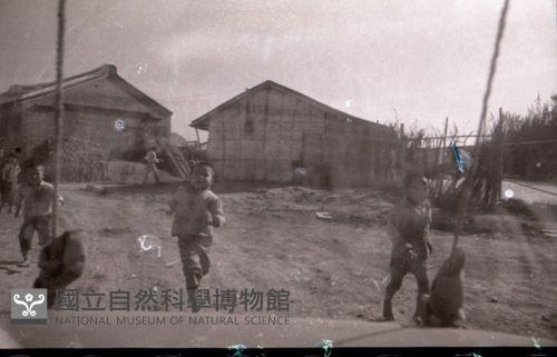 1950至2006年臺灣常民生活藏品圖，第1張
