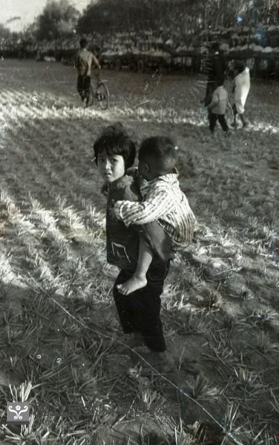 1950至2006年臺灣常民生活 藏品圖，第1張
