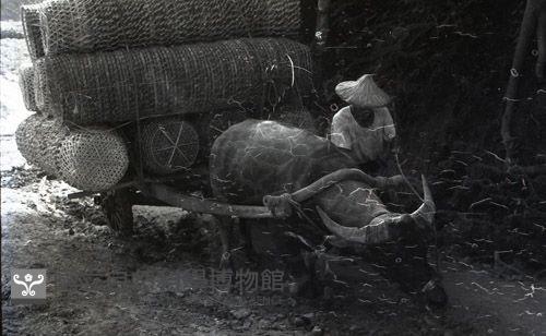 1950至2006年臺灣常民生活藏品圖，第1張