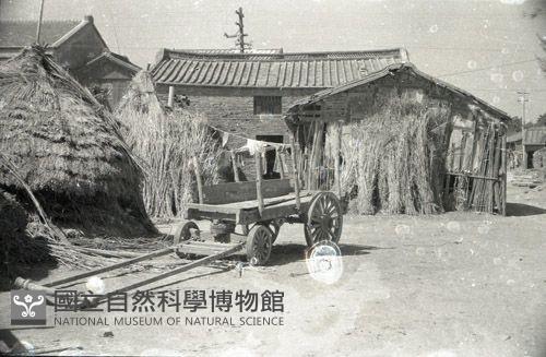 1950至2006年臺灣常民生活藏品圖，第1張