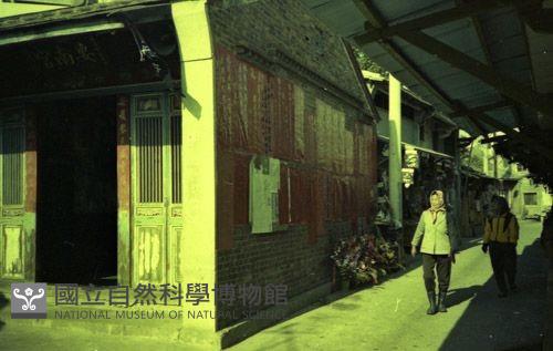 1950至2006年臺灣常民生活藏品圖，第1張