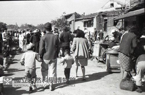 1950至2006年臺灣常民生活藏品圖，第1張