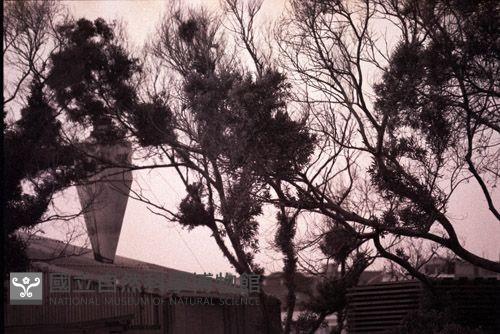 1950至2006年臺灣常民生活藏品圖，第1張