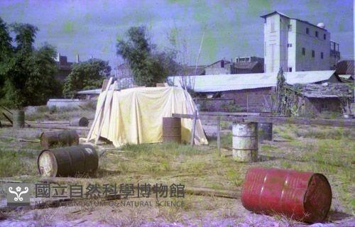 1950至2006年臺灣常民生活藏品圖，第1張