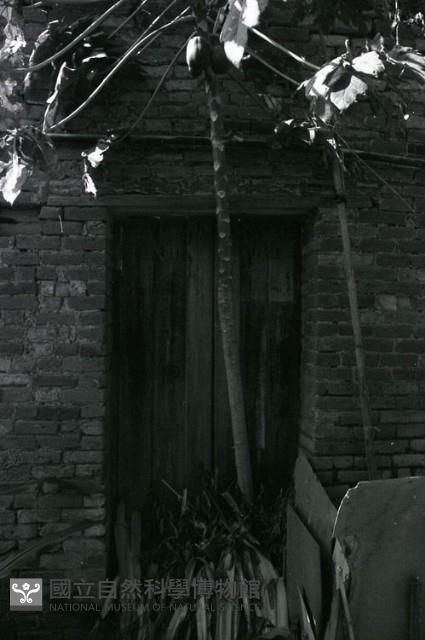 1950至2006年臺灣常民生活藏品圖，第1張