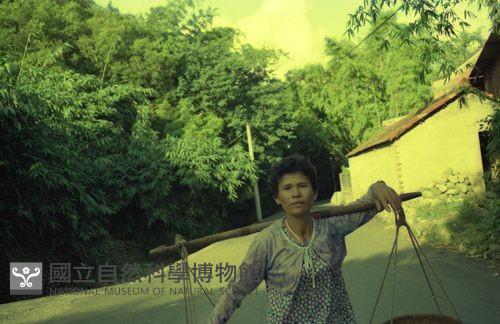 1950至2006年臺灣常民生活藏品圖，第1張