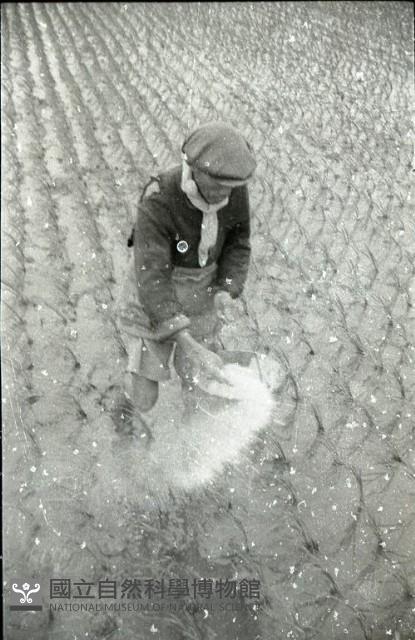 1950至2006年臺灣常民生活藏品圖，第1張