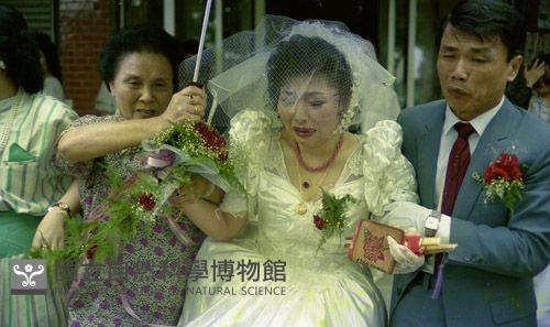 1950至2006年臺灣常民生活藏品圖，第1張