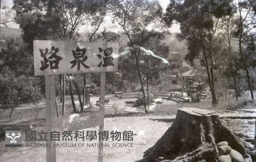 1950至2006年臺灣常民生活藏品圖，第1張
