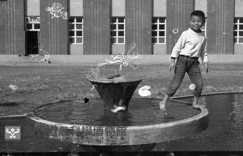 1950至2006年臺灣常民生活藏品圖，第1張