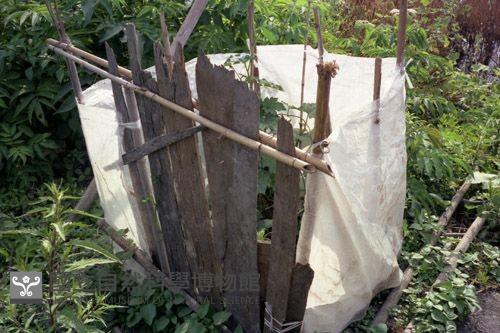 1950至2006年臺灣常民生活藏品圖，第1張