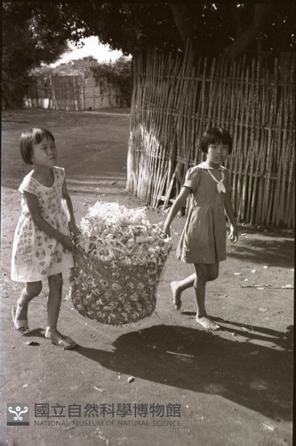 1950至2006年臺灣常民生活藏品圖，第1張