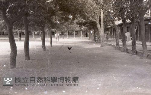 1950至2006年臺灣常民生活藏品圖，第1張