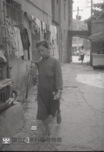 1950至2006年臺灣常民生活藏品圖，第1張