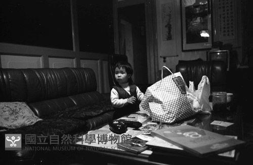 1950至2006年臺灣常民生活藏品圖，第1張