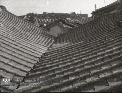 1950至2006年臺灣常民生活藏品圖，第1張