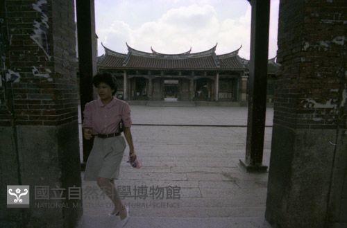 1950至2006年臺灣常民生活藏品圖，第1張