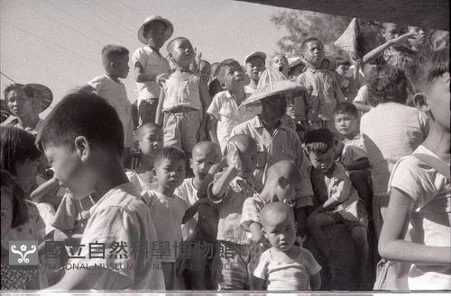 1950至2006年臺灣常民生活藏品圖，第1張