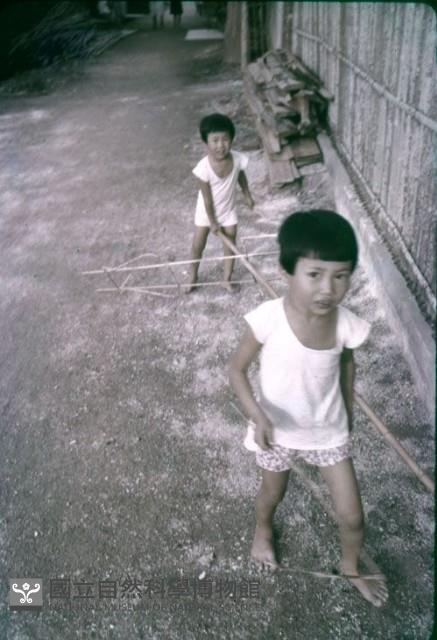 1950至2006年臺灣常民生活藏品圖，第1張