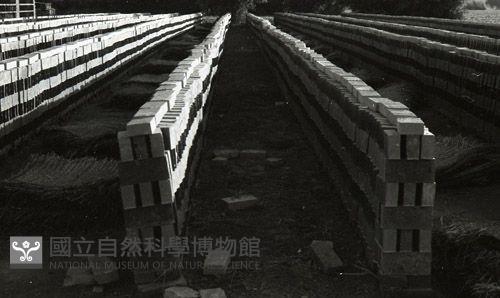 1950至2006年臺灣常民生活藏品圖，第1張