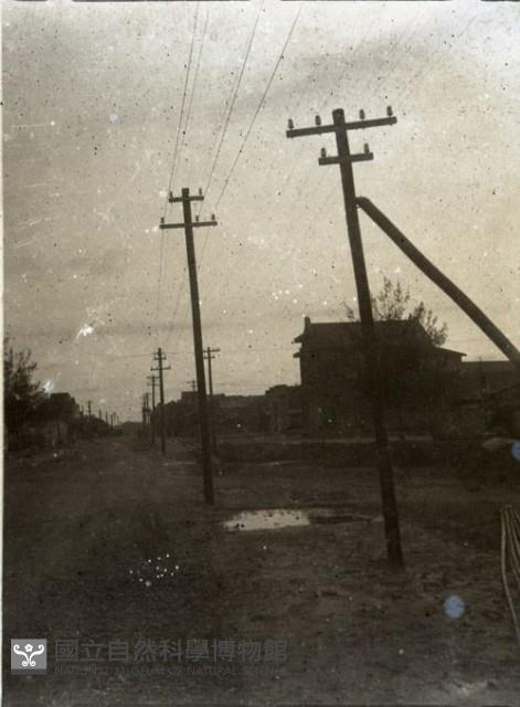 1950至2006年臺灣常民生活藏品圖，第1張