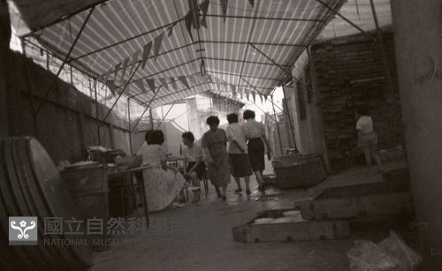 1950至2006年臺灣常民生活藏品圖，第1張