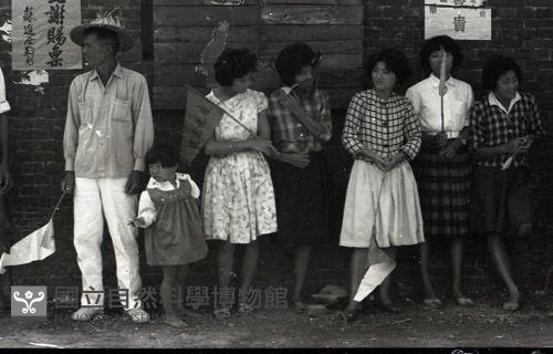 1950至2006年臺灣常民生活藏品圖，第1張
