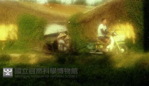 1950至2006年臺灣常民生活藏品圖，第1張