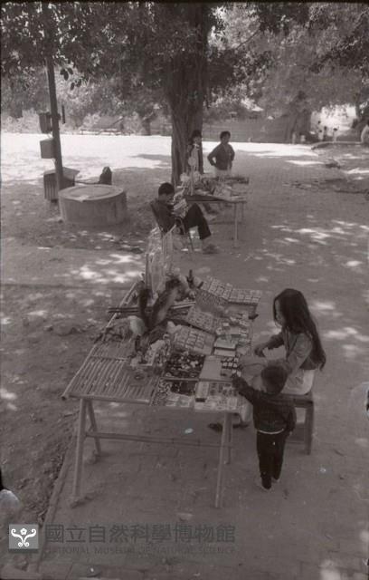 1950至2006年臺灣常民生活藏品圖，第1張