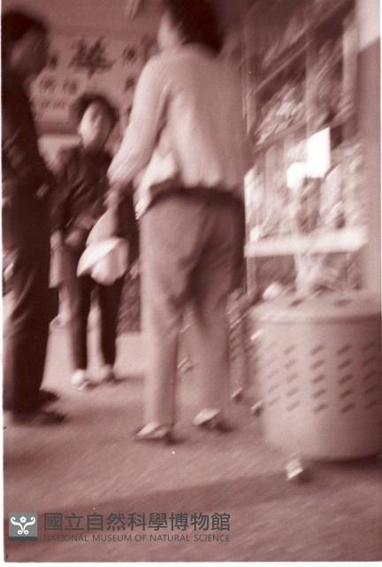 1950至2006年臺灣常民生活藏品圖，第1張