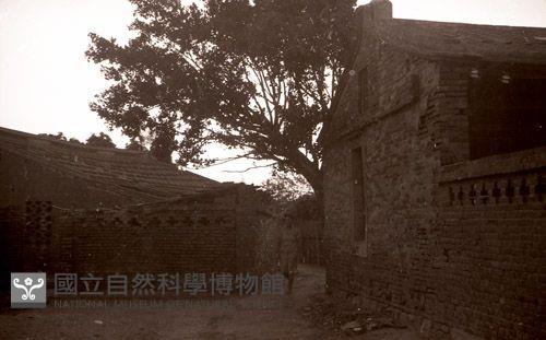 1950至2006年臺灣常民生活藏品圖，第1張