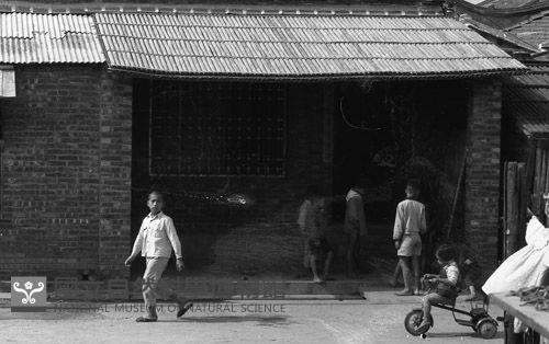 1950至2006年臺灣常民生活藏品圖，第1張