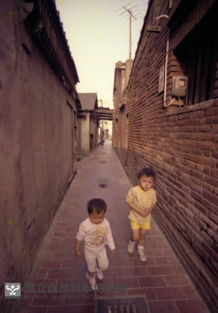1950至2006年臺灣常民生活藏品圖，第1張