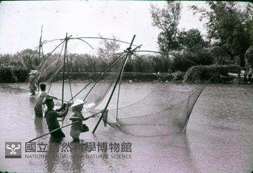 以四角筌捕魚（1950至2006年臺灣常民生活）藏品圖，第1張