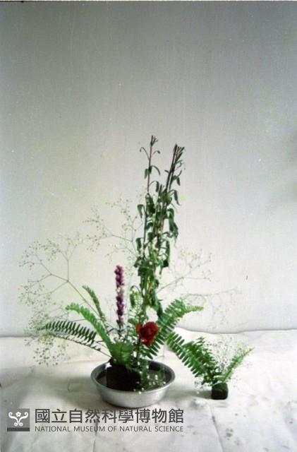 1950至2006年臺灣常民生活藏品圖，第1張