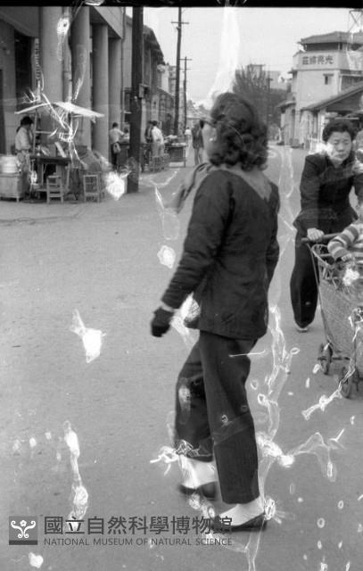 1950至2006年臺灣常民生活藏品圖，第1張