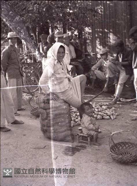 1950至2006年台灣常民生活藏品圖，第1張