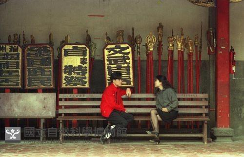 1950至2006年臺灣常民生活藏品圖，第1張
